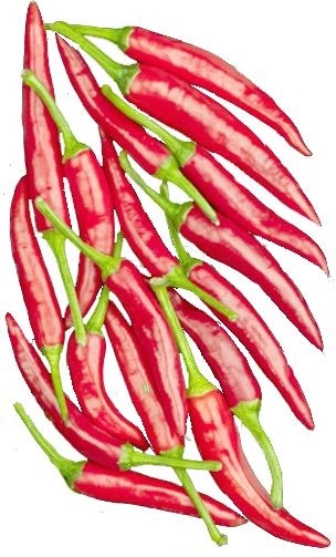 Chili Api Merah