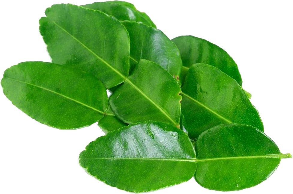 Kaffir Lime Leaf (Daun Limau Puruf)