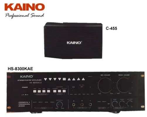 Karaoke System