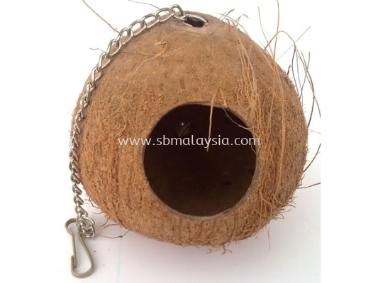 BA-33849 Coconut