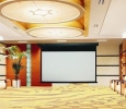 Powerline Projector Motorized Screen KIARA Projector Screen