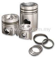 Piston and Piston Ring