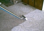  Carpet Cleaning Carpet 