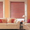  Venetian Blind Window Blinds