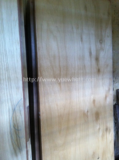 Plywood Door