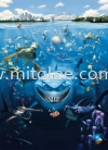 4-406_Nemo_Shark_k KOMAR- DISNEY Wallpaper (0.53m x 10m)