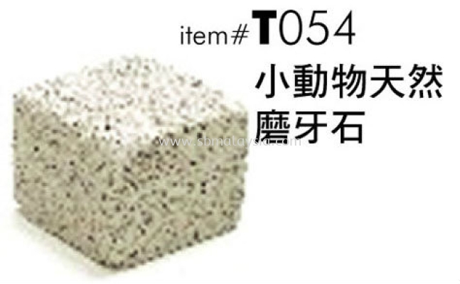 T054  Gnawing Stone