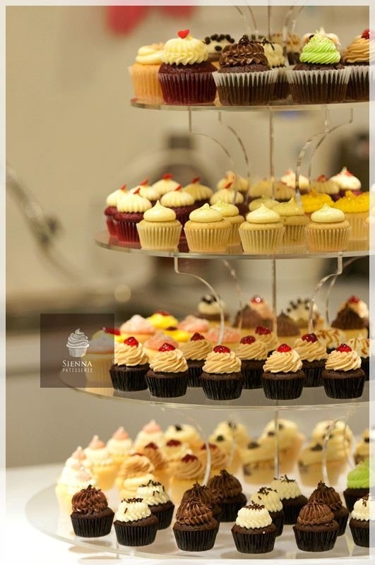 Quality Cupcake Supplier In Johor Bahru/ Cupcake Supplier Looking For Investor 