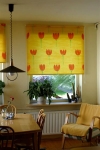  Roller Blinds Window Blinds