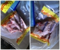 Chicken Wing Vacuum Packing  Sealing Machine-Vacuum Pack 