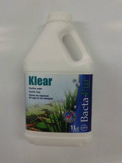 Klear bacteria