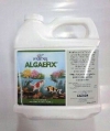 Algaefix 1.89 litre Water Related/Medicine