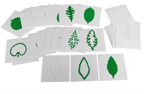 KB027 Leaf Cards