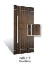 SKD217 Design Door