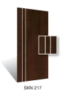 SKN217 Design Door