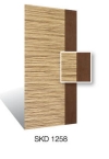 SKD1258 Design Door