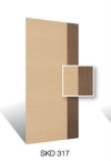 skd317 Design Door