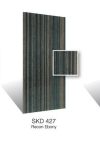 skd427 Design Door