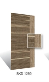 SKD1259 Design Door