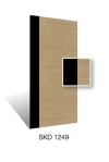 SKD1249 Design Door