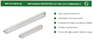 WRT-GCY6010(E) Fixed Explosion-Proof Lighting Wiriti Lighting