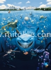 4-406_Nemo_Shark_prn Komar Photomural Vol:14 Wallpaper (0.53m x 10m)