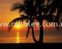 8-255_Palmy_Beach_Sunrise_prn Komar Photomural Vol:14 Wallpaper (0.53m x 10m)