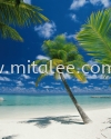 4-883_Ariatoll_prn Komar Photomural Vol:14 Wallpaper (0.53m x 10m)