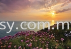 8-901 LAND'S END  NEWS 2012 KOMAR WALLPAPER