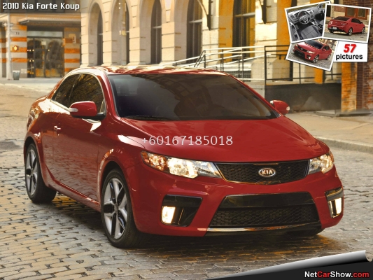 KIA KOUP AIR FILTER K & N