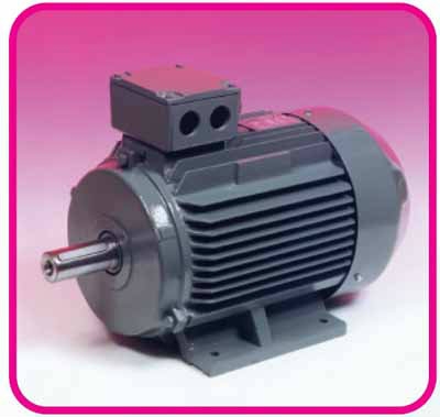 Repairing Rewinding Induction Motors Indutrial Pumps In Johor Bahru Jb Syarikat Cathay Letrik