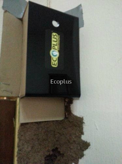 Ecoplus Termites Colony Elimination Expert