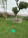 Ecoplus Termites Baiting Prevention System Outdoor or Garden Ecoplus Termites Baiting Prevention System Installation Photo