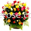 Flowers Basket Set 23(SGD60) ʹ