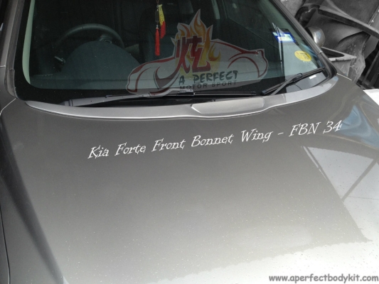 Kia Forte Front Bonnet Wing 