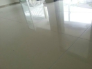 Homogenous Tile Polishing Homogenous Tile Polishing