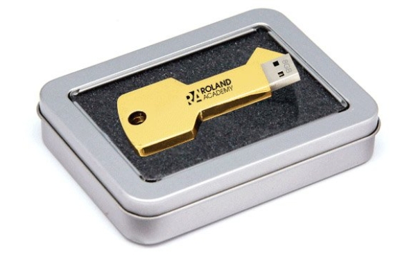 USB008 Metal USB Gold Key Flash Drive 8GB