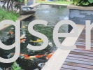 Fish Pond Design Fish Pond Design