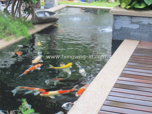 Fish Pond Design