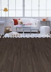 EB31 Laminate Flooring (Picture)