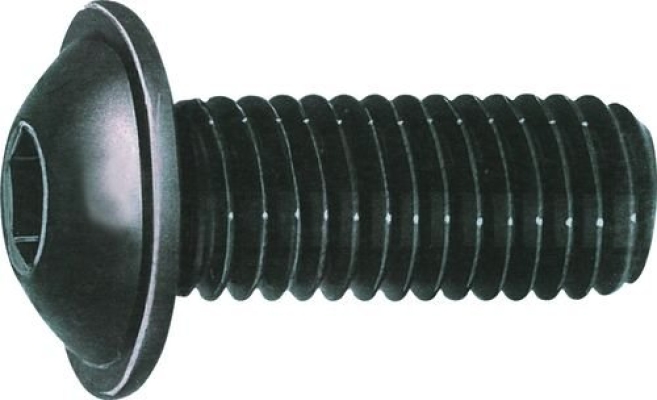 Screws, Flange Button Screw M10, QFT6043059P