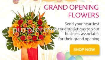 Grand Opening Flower StandɽĻʽ/