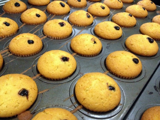 Muffin Blueberry