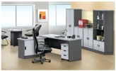 Executive Desk Others