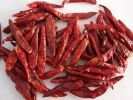 Dried Chilli  Dehydrated Products