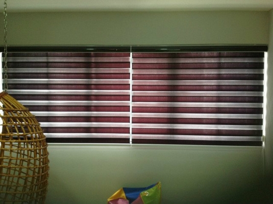 Zebra Blinds