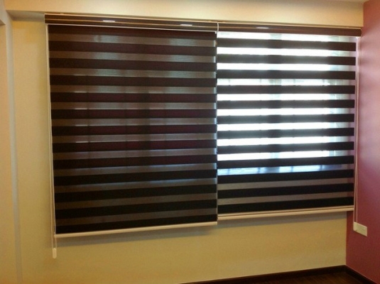 Zebra Blinds