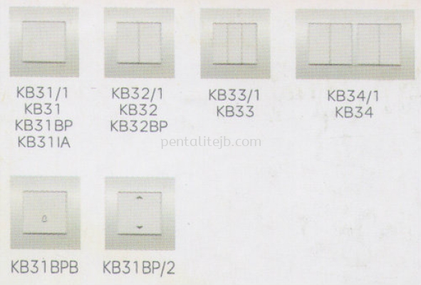 Flush Switches (Big Dolly)