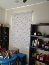 Roller Blinds Roller Blinds