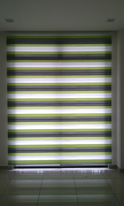 Zebra Blinds